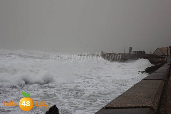 mina2 adrar jfe (9).jpg